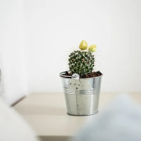 Aida's Apartment *